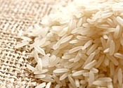 Rice Exporters Rice White Rice